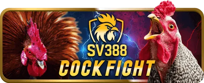 Sâm Lốc 123b